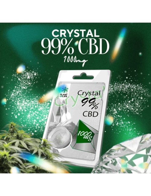 CBD Kristalleri %99 1000mg | PLANT OF LIFE