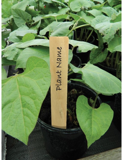 Ahşap Bitki Etiketleri 10 cm