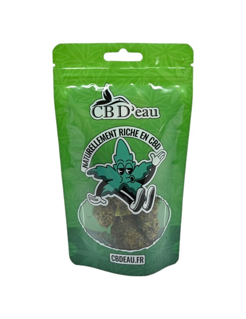 Packung mit 100 grünen CBD'eau-Beuteln 190x110x70mm