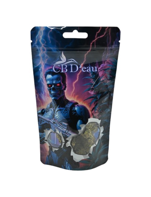 Set von 100 Terminator CBD'eau Beuteln 190x110x70mm