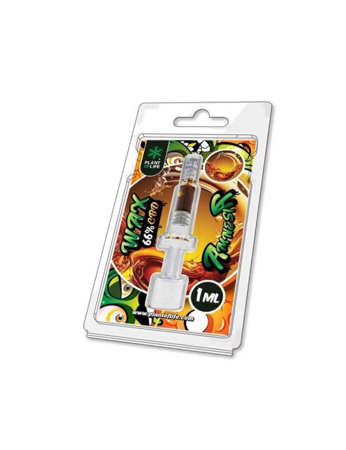Wachs Amnesia 1ml %66 CBD | PLANT OF LIFE