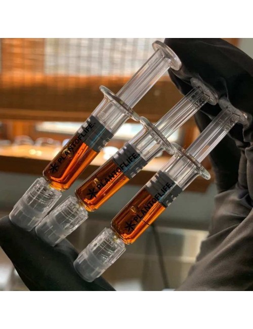 Wachs Amnesia 1ml %66 CBD | PLANT OF LIFE