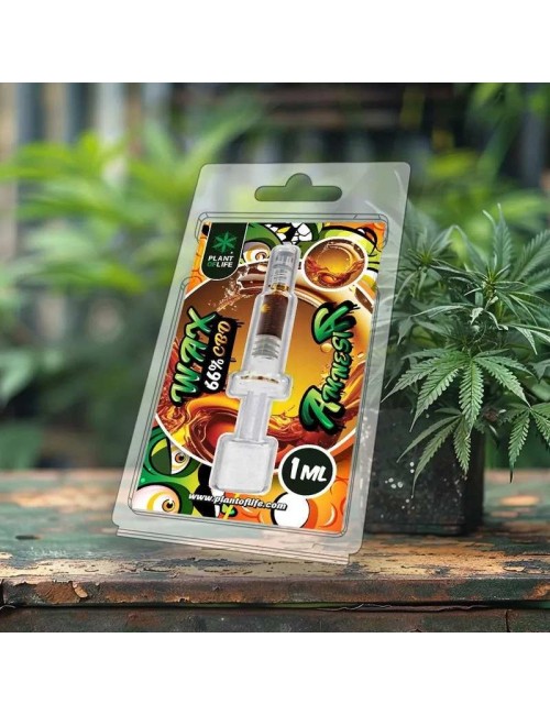Wachs Amnesia 1ml %66 CBD | PLANT OF LIFE