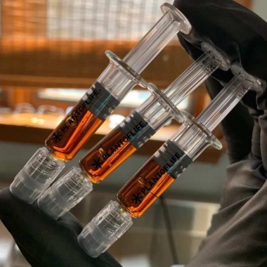 Wachs Purple Haze 1ml %66 CBD | PLANT OF LIFE