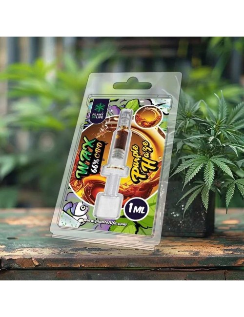 Wachs Purple Haze 1ml %66 CBD | PLANT OF LIFE