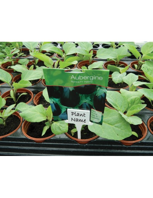 T şeklinde etiket tutucu, tek renkli beyaz, 10'lu set