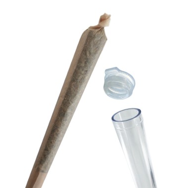 Infustick CBD Zitronennebel 5% Muscimol