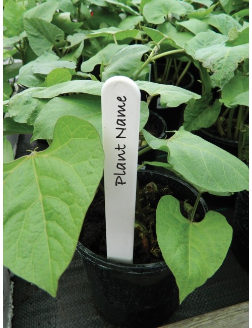 Beyaz Bitki Etiketleri 13cm 25'li Set