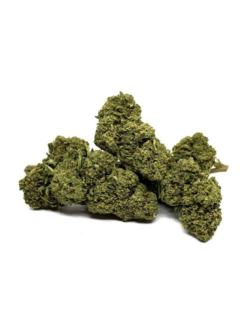 CBD Çiçeği Gorilla Glue Sera