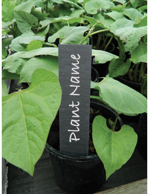 Arduvaz Bitki Etiketleri 13 cm 5'li Set