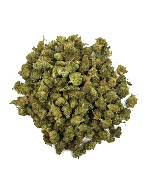 Small Bud 10-OH-HHC %15