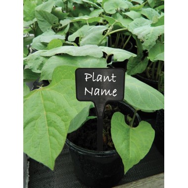 T şeklinde siyah etiketler 10'lu set