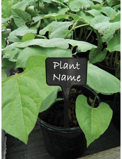 T şeklinde siyah etiketler 10'lu set