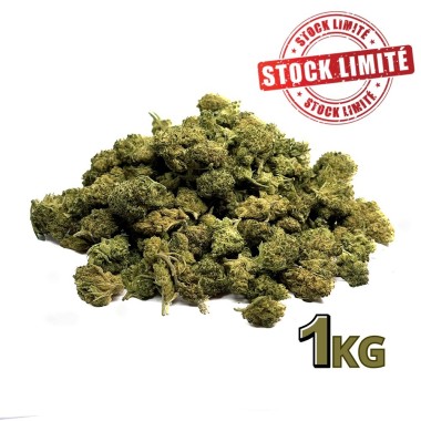 1KG SMALL BUD CBD İndirimli Satış