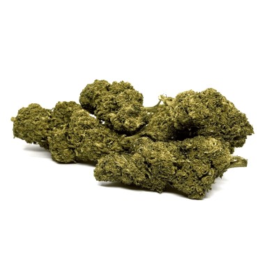 Mango Kush DELTA BZ10 20% Gewächshaus-Blüte