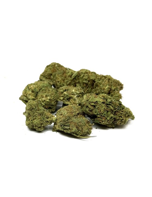 CBD Çiçekleri LIFTER Premium Sera