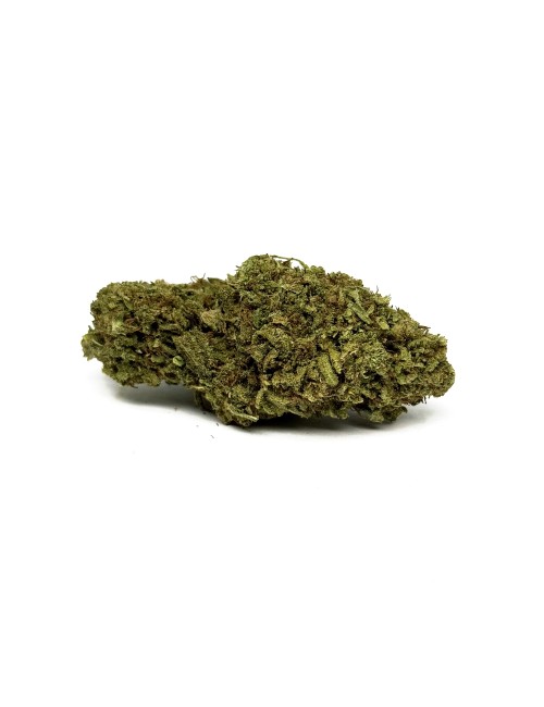 CBD Çiçekleri LIFTER Premium Sera