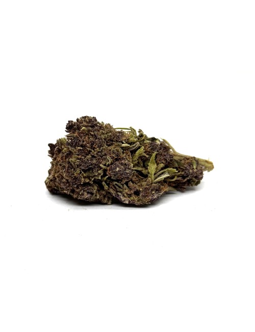CBD Çiçek Purple Haze 20 Premium Indoor