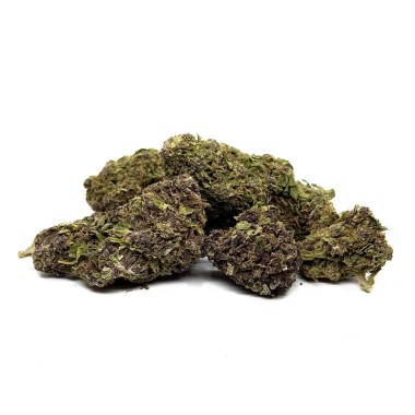 CBD Çiçek Purple Haze 20 Premium Indoor