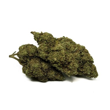 CBD Çiçeği Blue Dream Sera