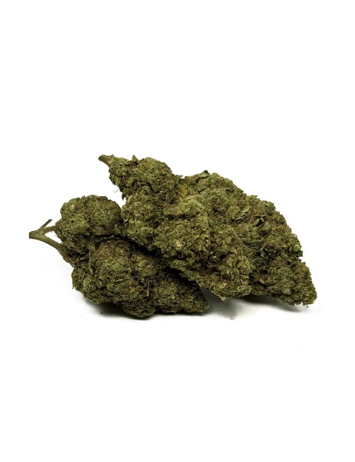 CBD Çiçeği Blue Dream Sera