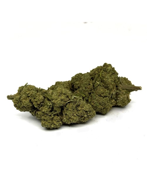 CBD Çiçeği Buddha Fruit Premium Indoor