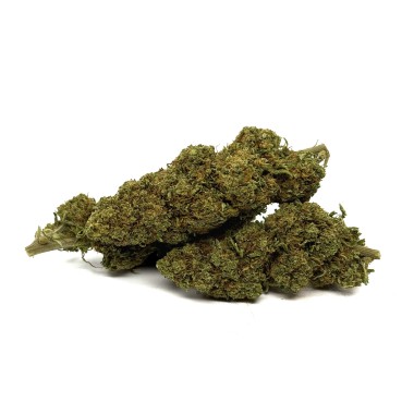CBD Çiçeği Orange Bud Sera