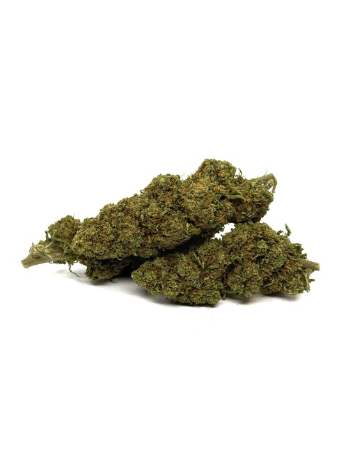 CBD Çiçeği Orange Bud Sera