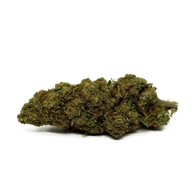 CBD Çiçeği Orange Bud Sera
