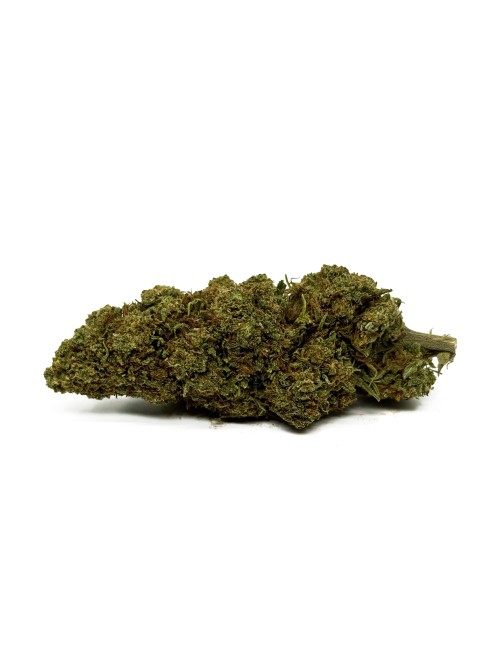 CBD Çiçeği Orange Bud Sera