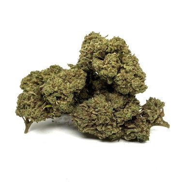 CBD Çiçeği White Widow Sera