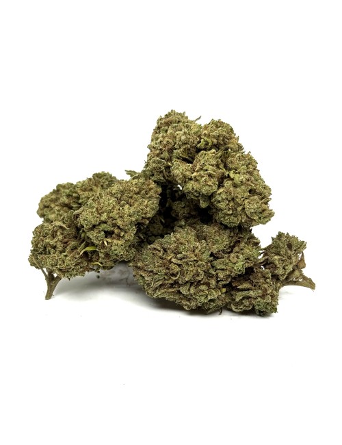 CBD Çiçeği White Widow Sera