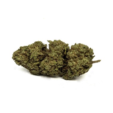 CBD Çiçeği White Widow Sera