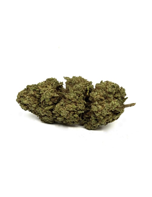 CBD Çiçeği White Widow Sera