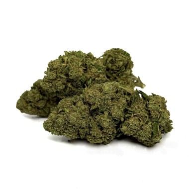 CBD Çiçeği OG Kush Greenhouse