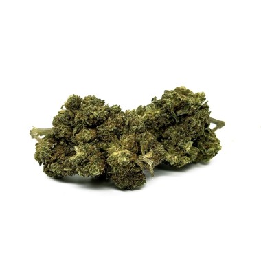 CBD Çiçeği Silver Haze 1kg Premium