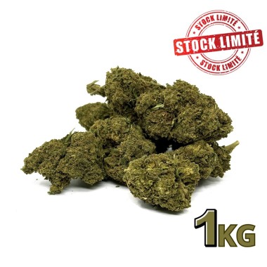 CBD Çiçeği Cannatonic 1kg Premium