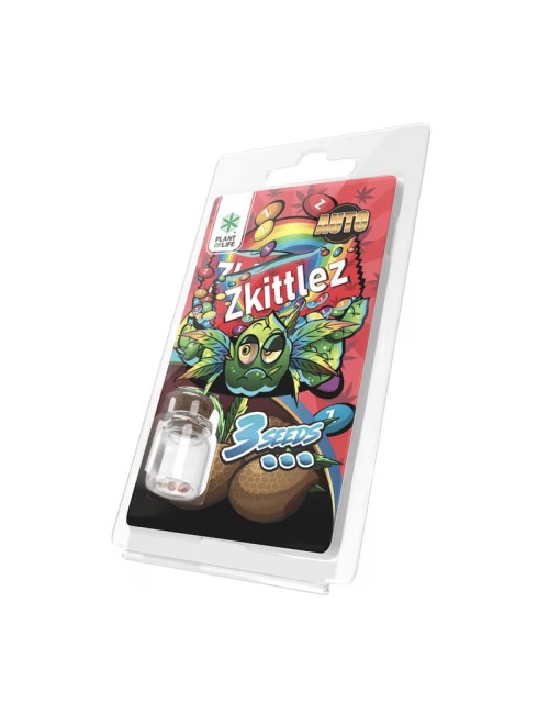 3 Zkittlez AUTO Tohumu | Plant of Life