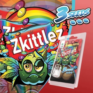 3 Zkittlez AUTO Tohumu | Plant of Life