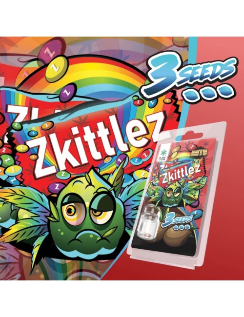 3 Zkittlez AUTO Tohumu | Plant of Life