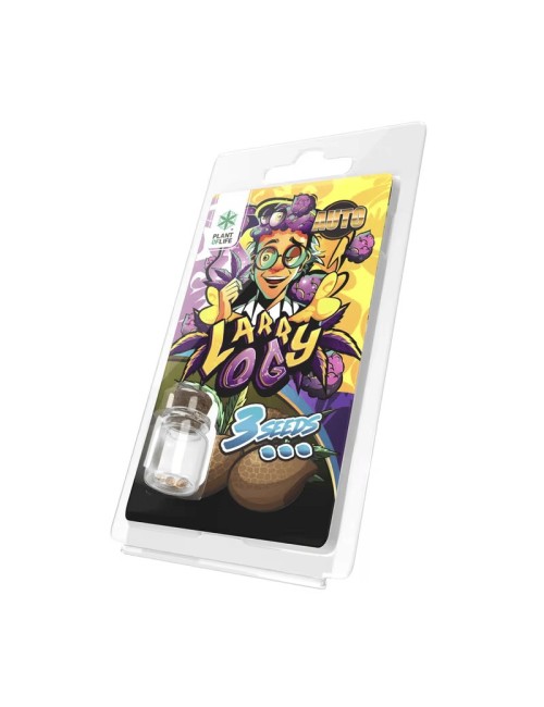 3 Larry OG AUTO Tohumu Plant of Life