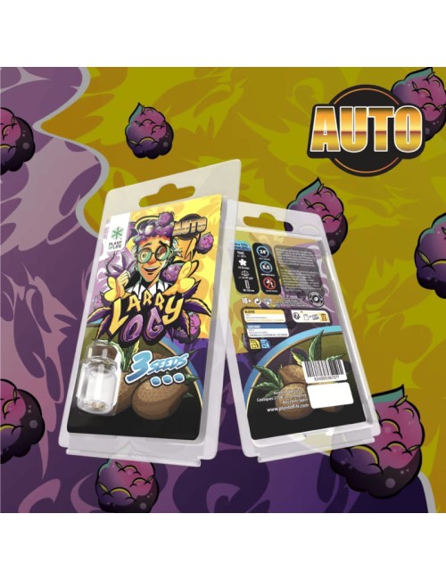 3 Larry OG AUTO Tohumu Plant of Life