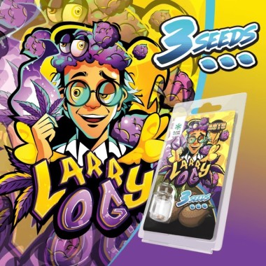 3 Larry OG AUTO Tohumu Plant of Life