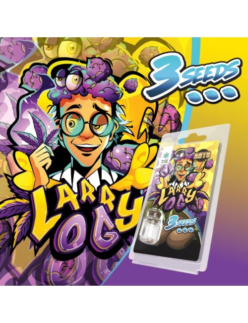 3 Larry OG AUTO Tohumu Plant of Life