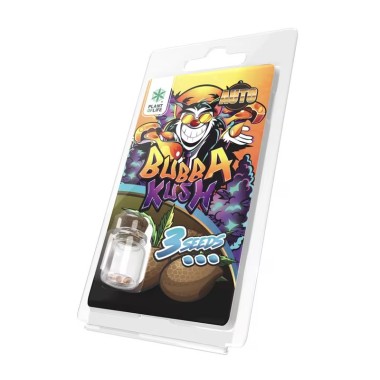 3 Bubba Kush Auto Tohumu | Plant Of Life