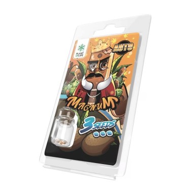 3 Magnum AUTO Tohumu | Plant of Life