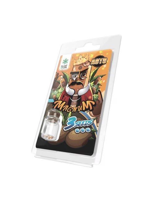 3 Magnum AUTO Tohumu | Plant of Life