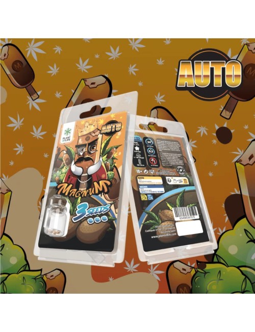 3 Magnum AUTO Tohumu | Plant of Life