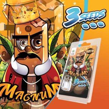 3 Magnum AUTO Tohumu | Plant of Life