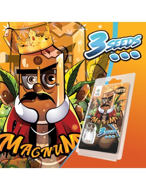 3 Magnum AUTO Tohumu | Plant of Life